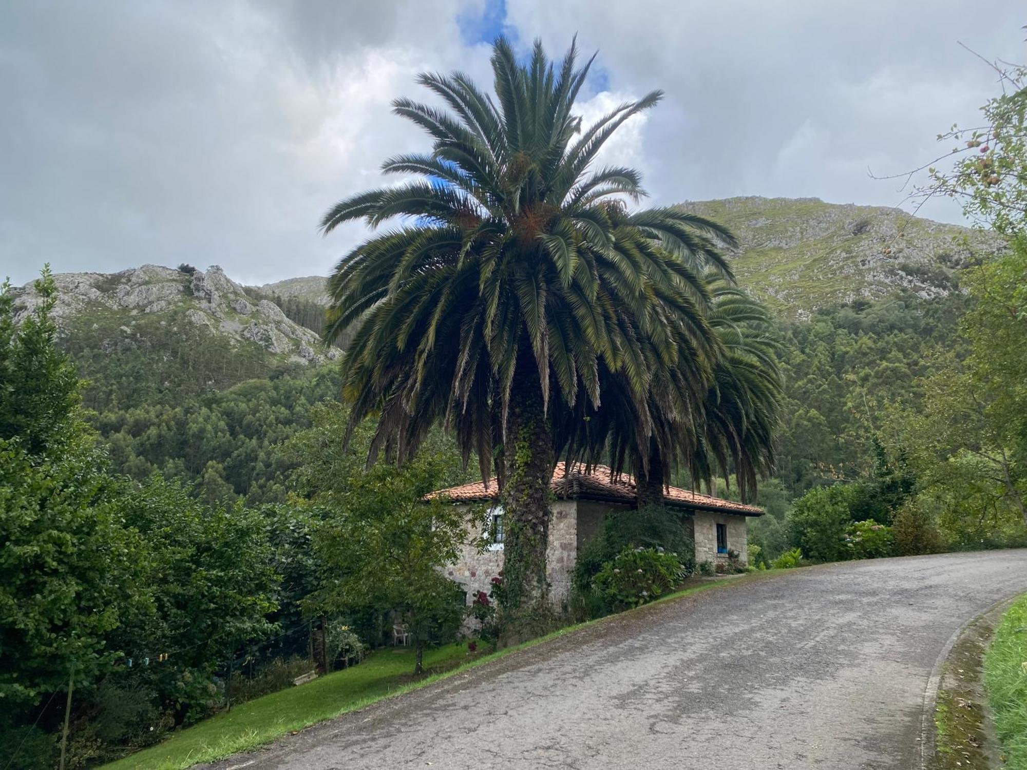 Casa Rural cerca de la playa ideal para familias Caravia Exterior foto